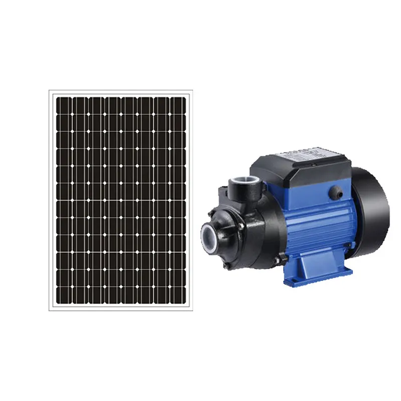 untuk Pompa Air Kolam Renang T - Solar Irrigation Pump 12V ulasan dan harga