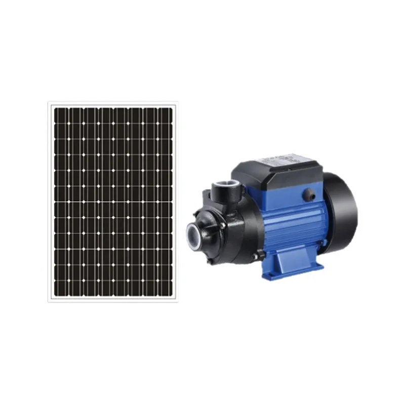 untuk Pompa Air Kolam Renang T - Solar Irrigation Pump 12V ulasan dan harga