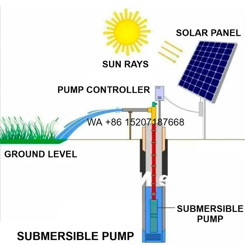 Wmwmnu untuk POMPA AIR BAJA TA - Solar Water Pump 1Hp Dc ulasan dan harga