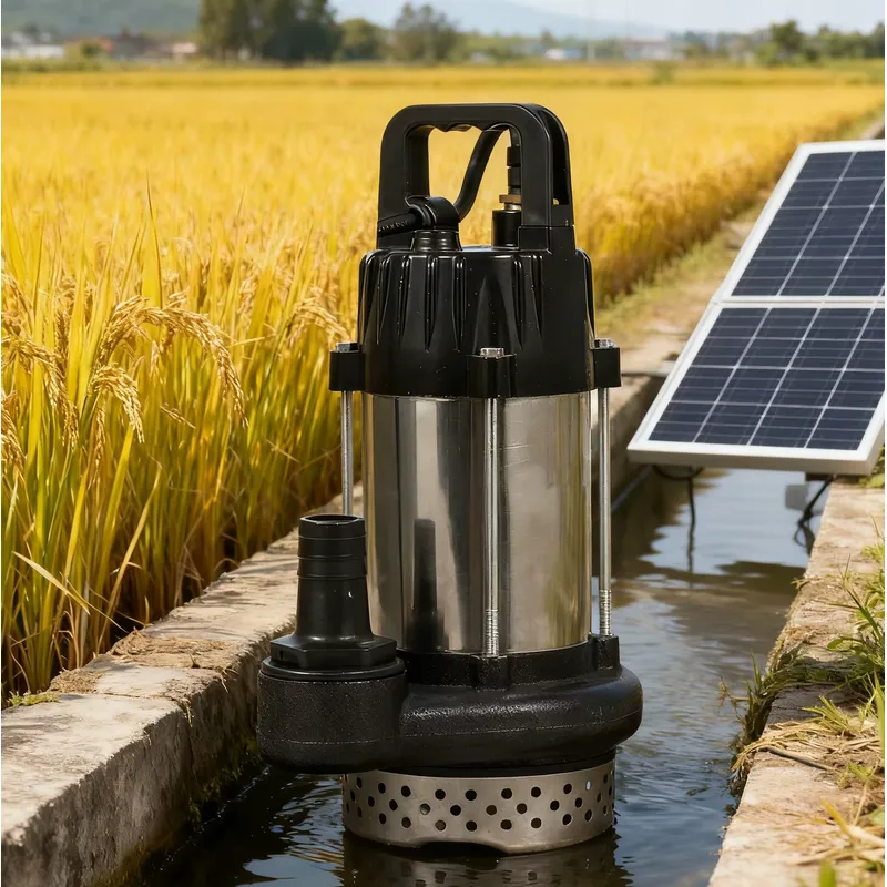 Pompa Air Tenaga Surya 48V 500 - Solar Water Pump 48V Submersible ulasan dan harga